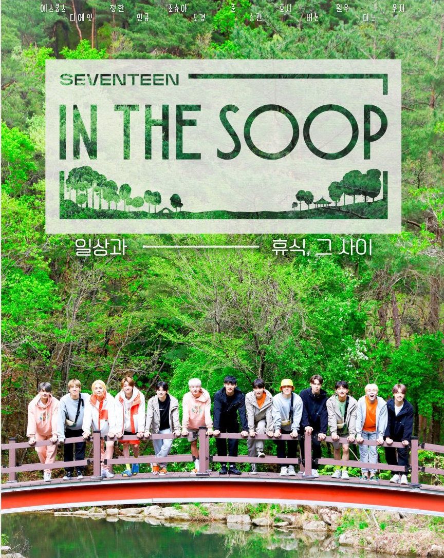 Seventeen In The Soop Show Review